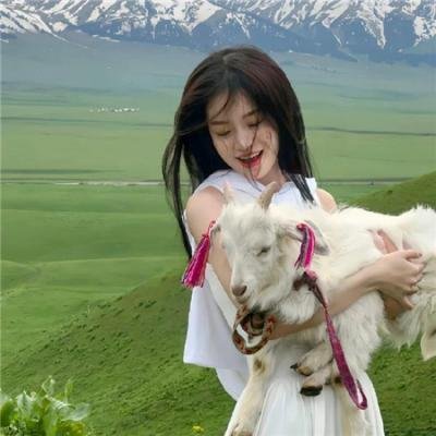 结婚欺诈师