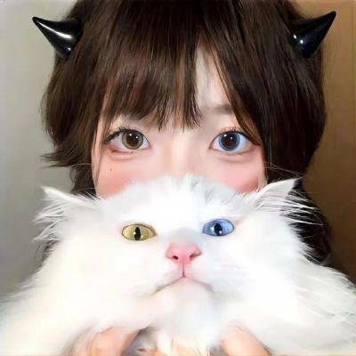 行动日